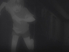 snapshot20080708150135.jpg