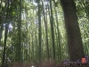 IMG_2781.JPG