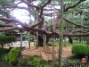 P8310047.JPG