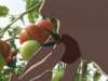snapshot20080706202631.jpg