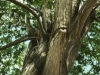 snapshot20080706202907.jpg