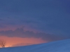 snapshot20080706203134.jpg