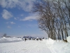 P2090003.JPG