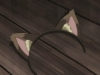 snapshot20080709194131.jpg