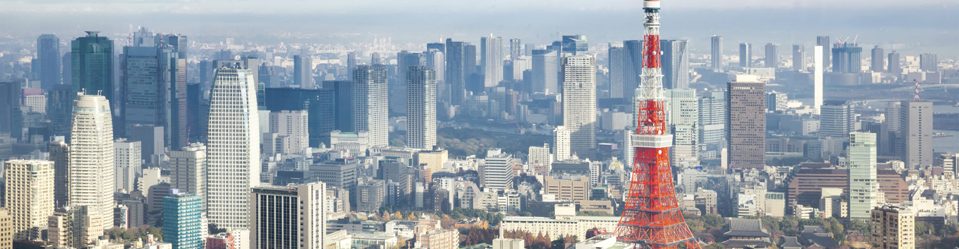 Tokio – Hier ist die Zukunft zu Hause